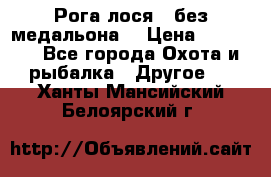 Рога лося , без медальона. › Цена ­ 15 000 - Все города Охота и рыбалка » Другое   . Ханты-Мансийский,Белоярский г.